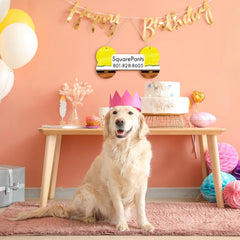 pet themed diy painting surface