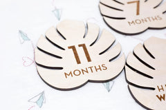 baby shoot props milestone cards