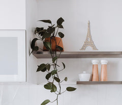 Shelving unit with decorative items including a plant, Eiffel Tower model, and bottles against a white wall.