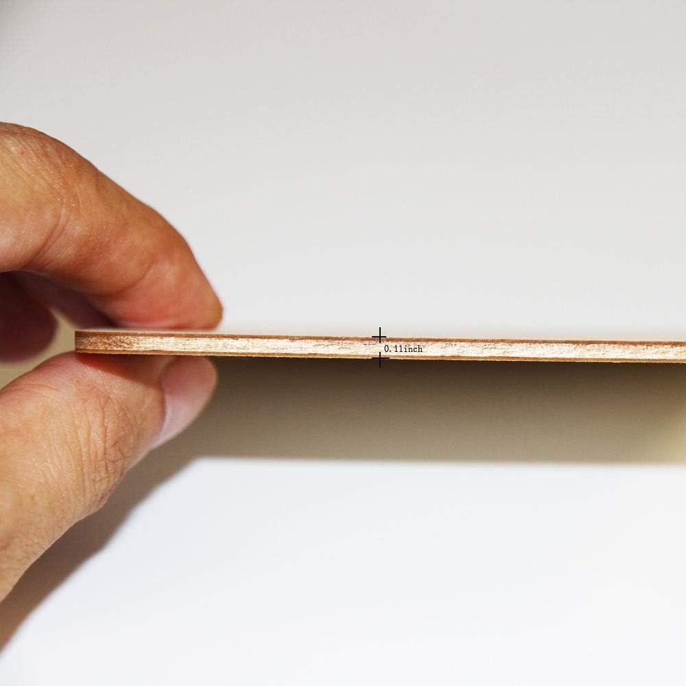 Hand holding a thin wooden strip with measurement label on a white background
