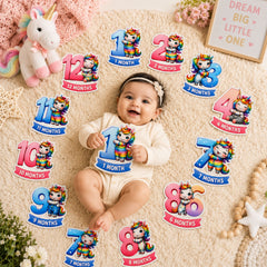 first year baby monthly photo props