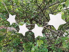 Star-shaped decorations hanging among green leaves
