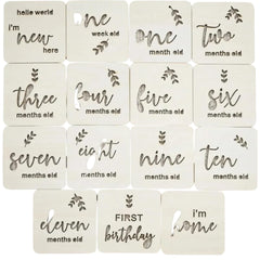 wooden baby milestone cards wood discs baby shower gift milestone props photo