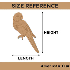 Size reference chart with a parrot illustration and measurements labeled 'Height' and 'Length'.