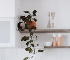 Shelving unit with decorative items including a plant, arrows, and jars.
