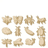 wooden insect shapes for kids painting diy mdf bug cutouts craft kit nature themed classroom decor