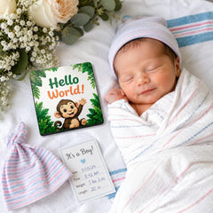 newborn monthly photo prop cards