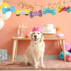 Dog wearing a pink crown in a decorated room with balloons and a cake.
