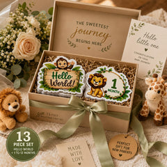 newborn monthly photo prop cards