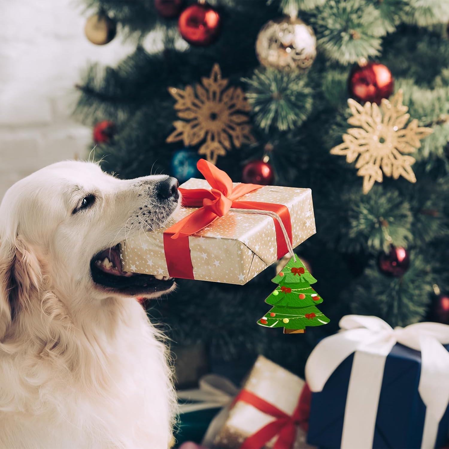 Dog with a gift box in front of a decorated Christmas tree
