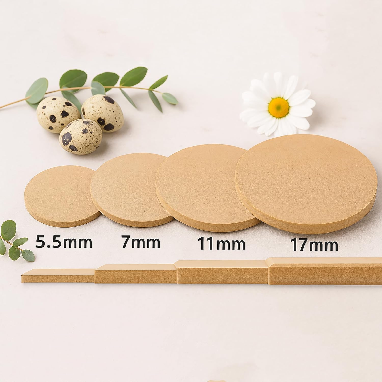 Set of round wooden discs with measurements and a wooden tool on a light background