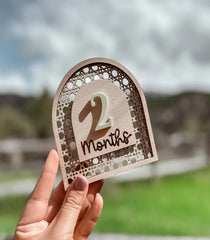 baby milestone cards for precious memories