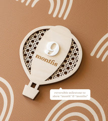 newborn gift milestone cards