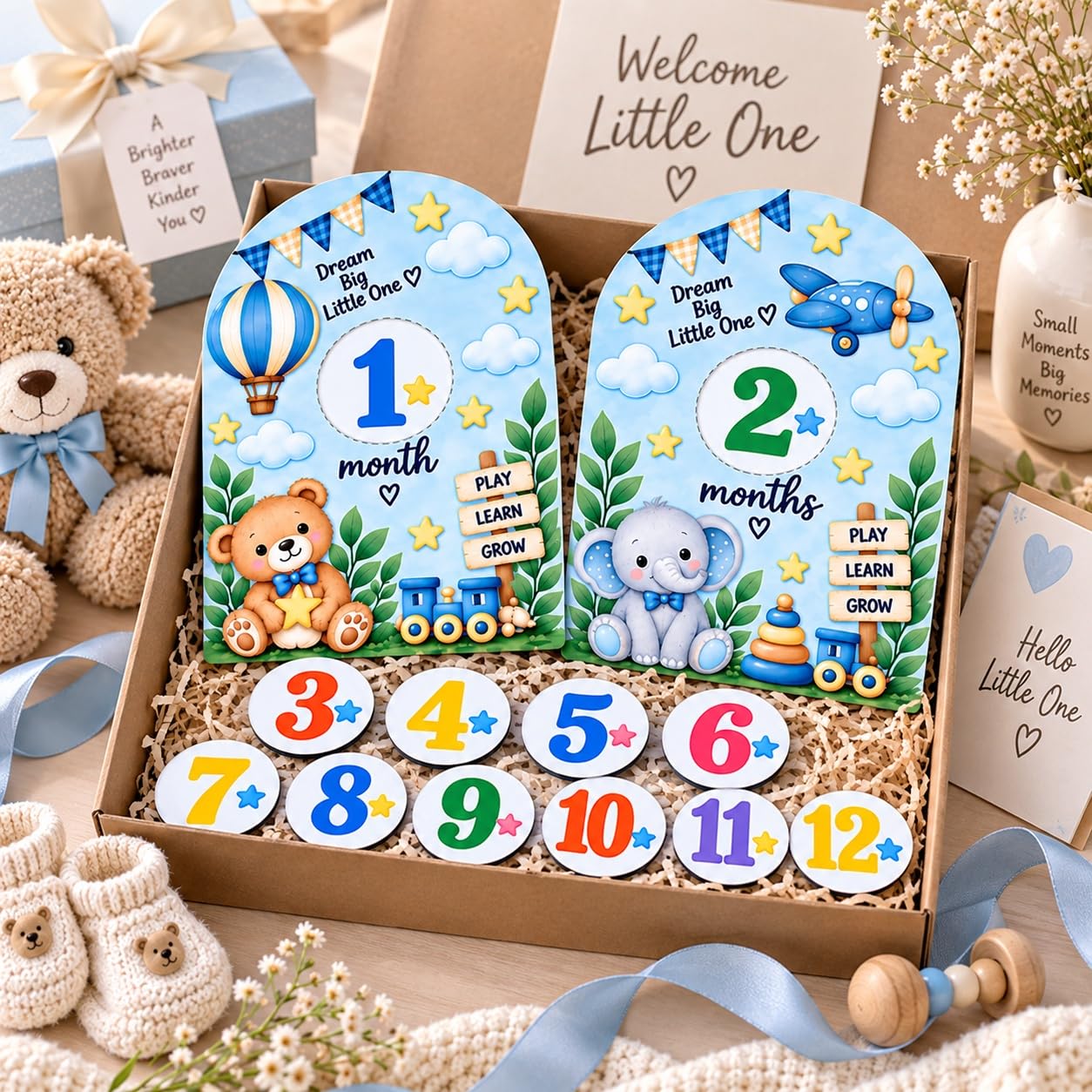 Baby first year monthly photo prop board