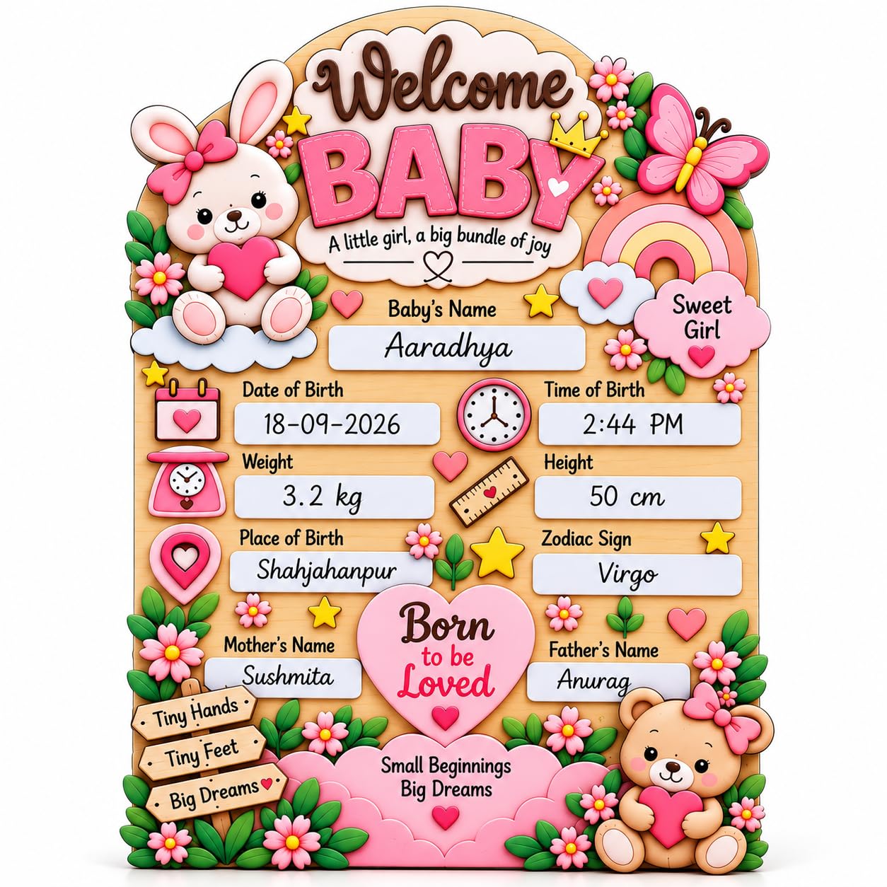 Baby birth announcement photo prop board