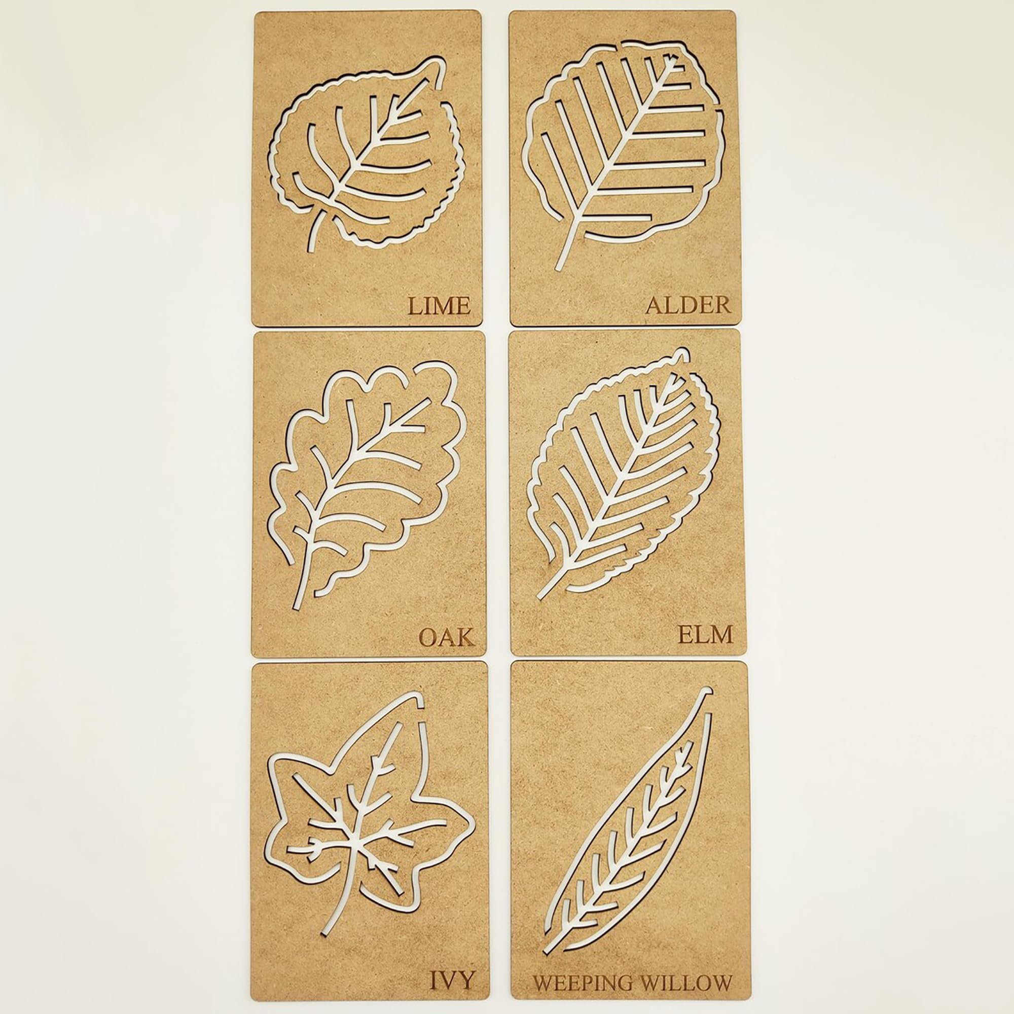 30pc botany learning toys