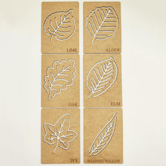 30pc botany learning toys