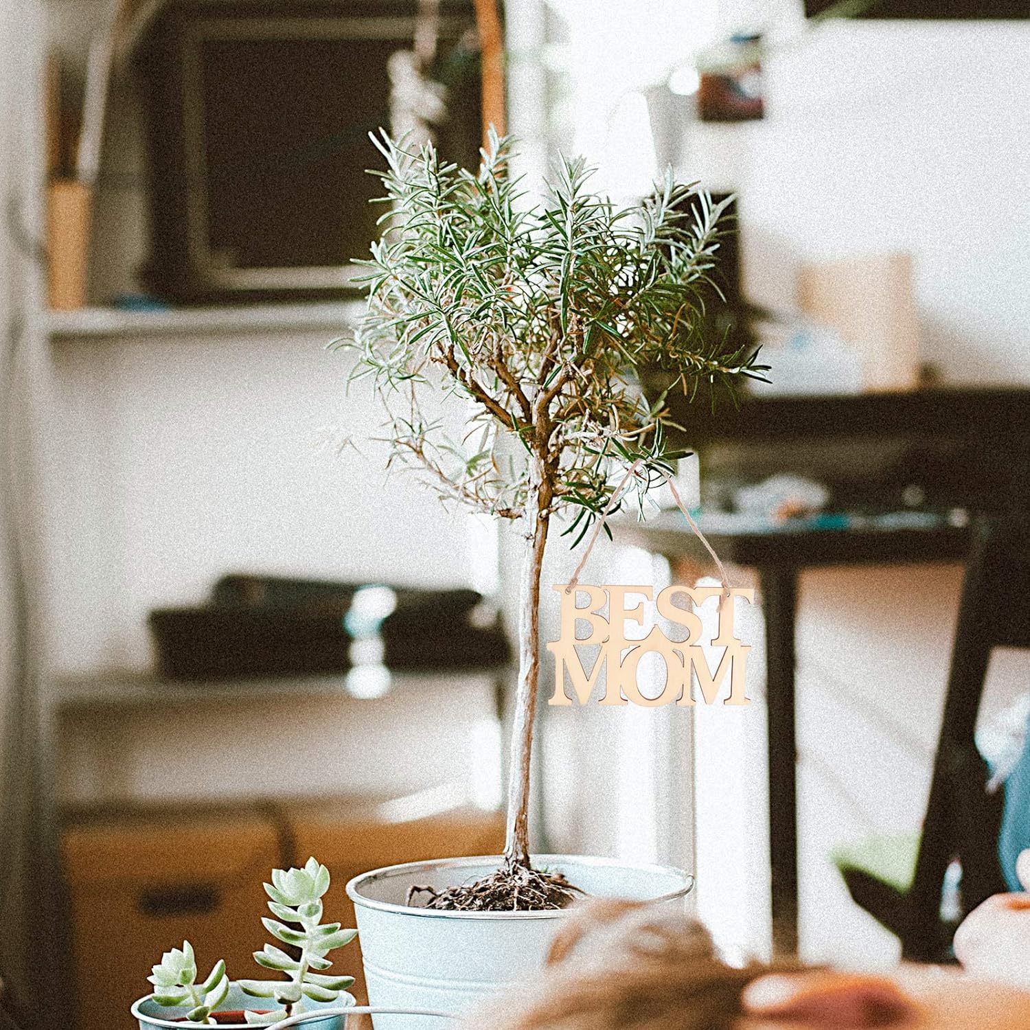 Potted plant with 'Best Mom' sign in a home setting