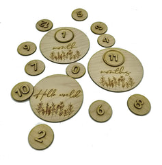 Wooden milestone discs with numbers and 'Hello world' text on a white background