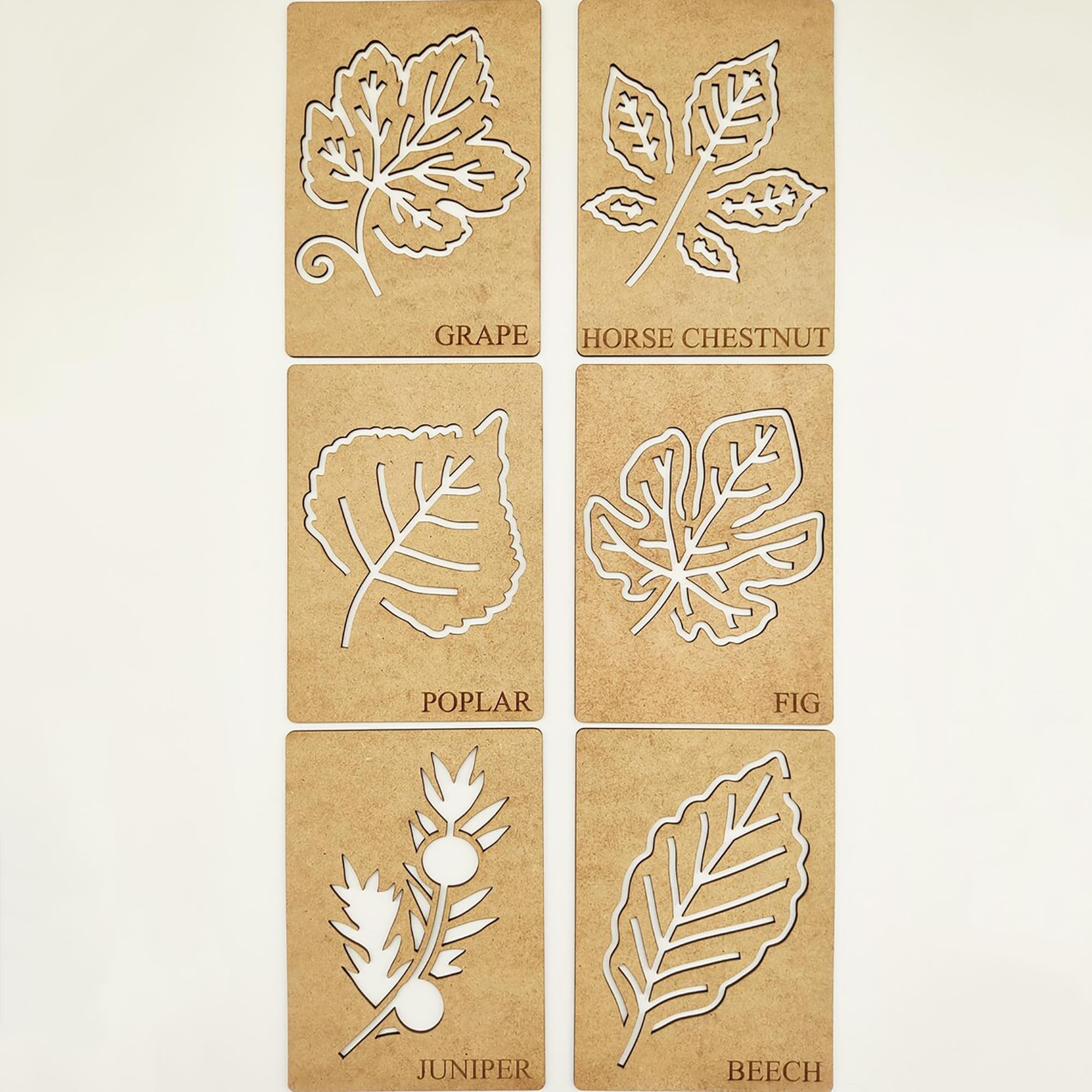 educational plant shape puzzles