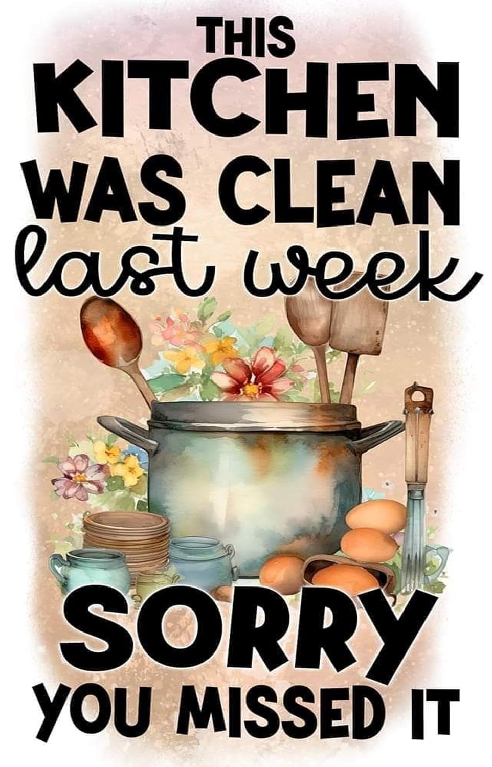 Cartoon kitchen scene with text 'This kitchen was clean last week, sorry you missed it' on a beige background.