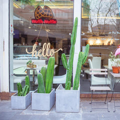 Outdoor seating area of a cafe with potted cacti and a 'Waffle Waffle' sign.