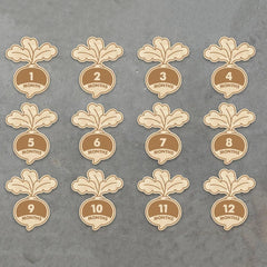 Set of wooden baby milestone cards with floral designs and month labels on a gray background.