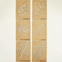 kids nature exploration set