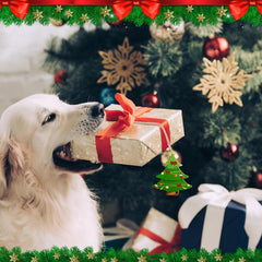Dog with a gift box in front of a decorated Christmas tree
