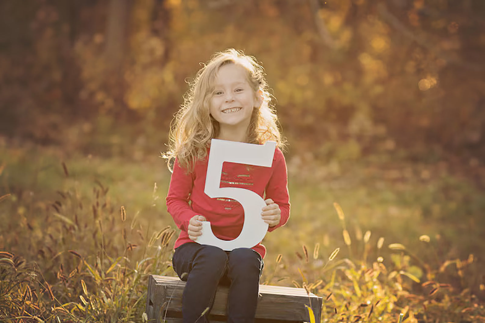 number 5 photo prop