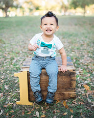 first birthday photo prop