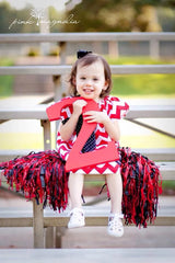 second birthday photo prop