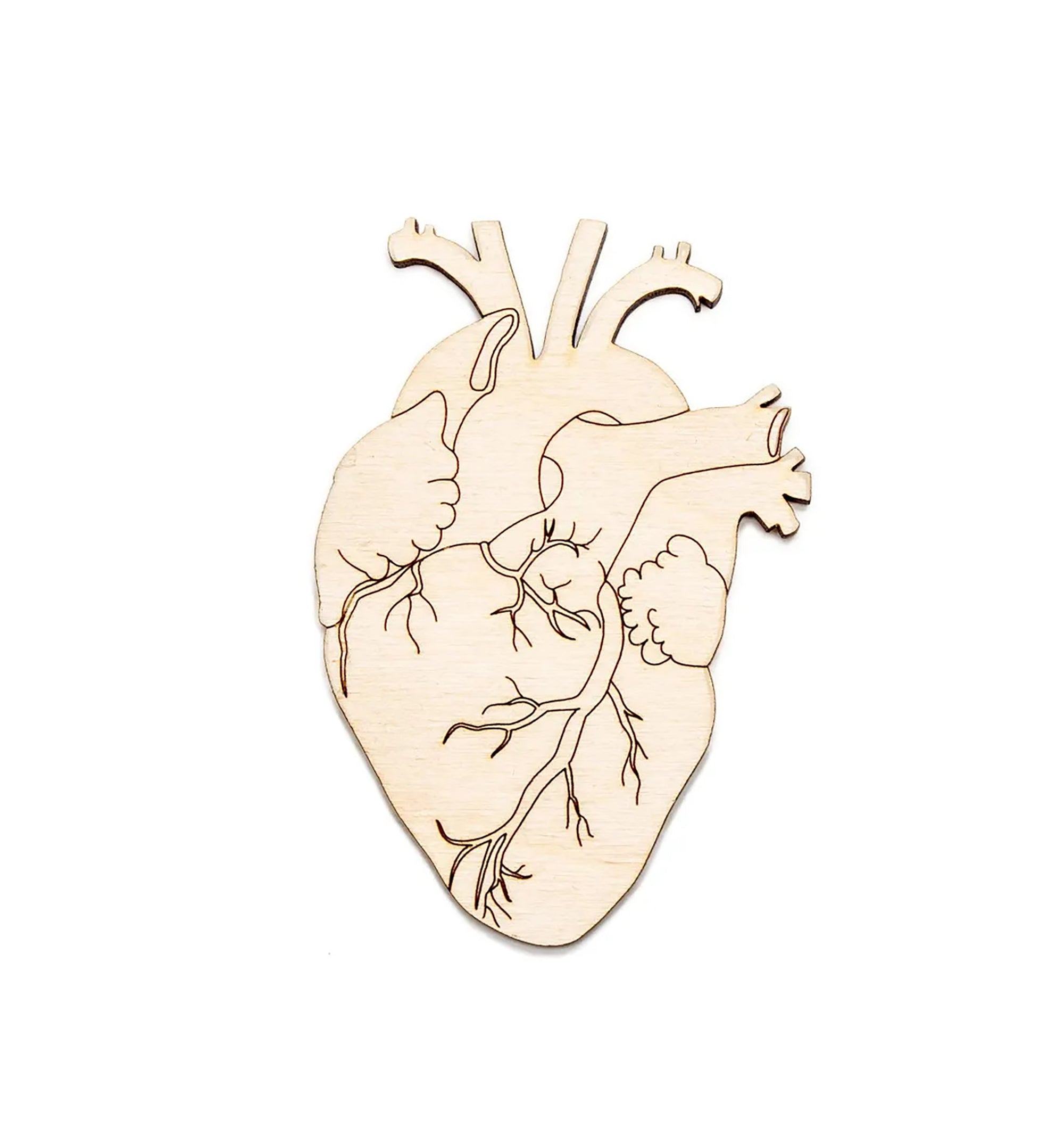anatomical heart wooden cutouts for painting