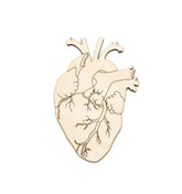 anatomical heart wooden cutouts for painting