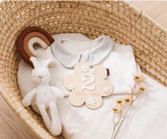 newborn hello world announcement board