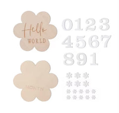 Each baby milestone set includes interchangeable numbers