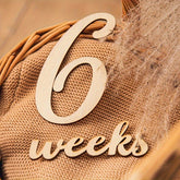 baby monthly milestone markers