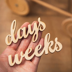 baby photo milestone discs
