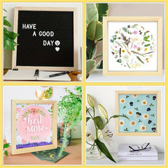Whittlewud 6 Pack Wooden Canvas Box Trays DIY Craft Trays Painting, 3D Puzzles & Home Decor