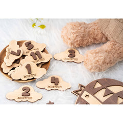 monthly baby photo props set of 12