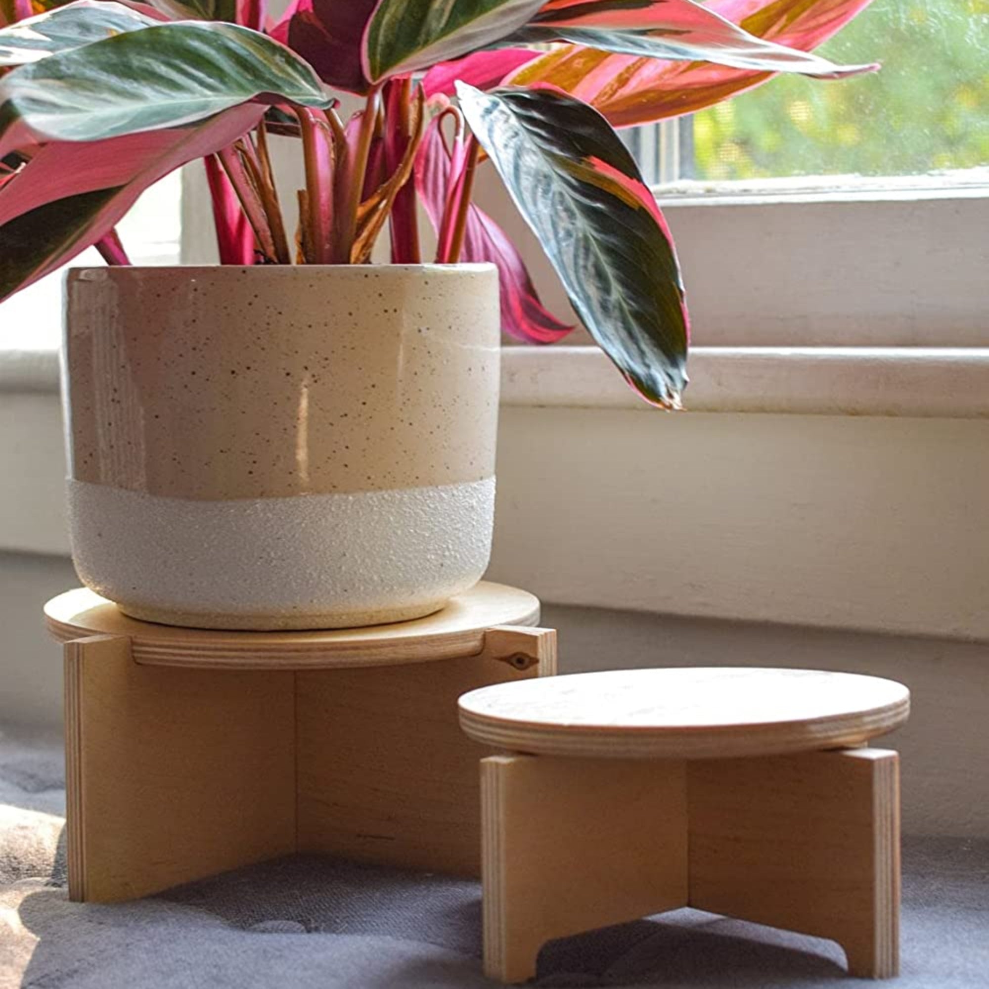 Plant stand