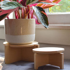 Plant stand