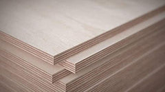 birch plywood online india