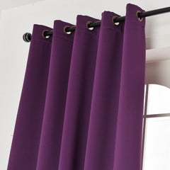 Window Curtains
