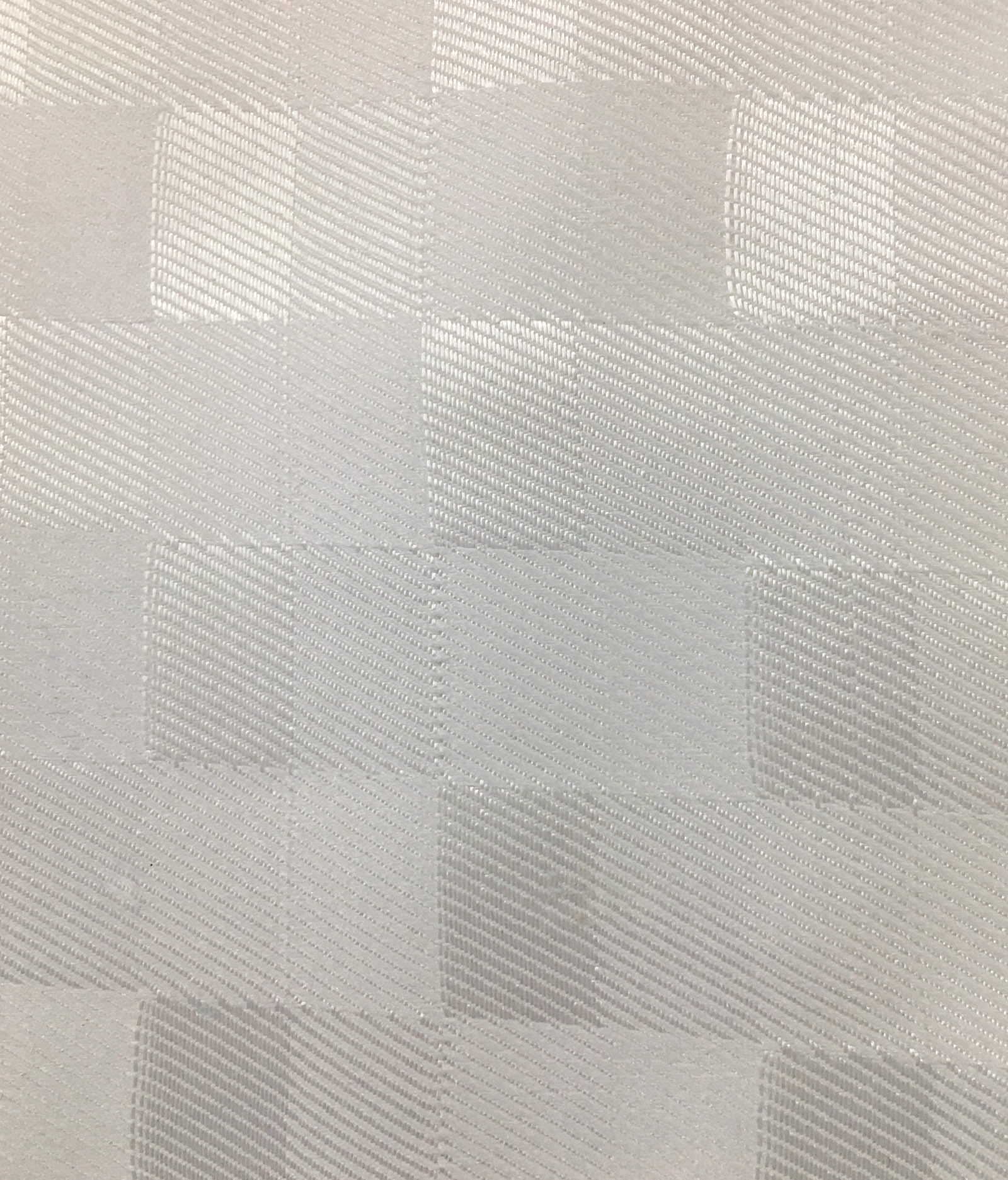 Shower Curtain