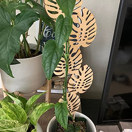 Wood Lattice Panel Trellis