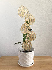 Natural Bamboo Trellis