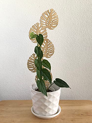 home décor product