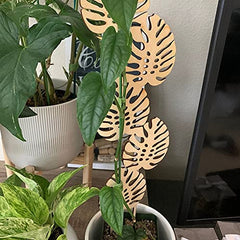 Wood Lattice Panel Trellis