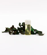 American-Elm Pack of 4 Jasmine, Lavender, Rose, Lemon Potpourris Aroma Leaf With Essential Oil For Room and Office Decoration